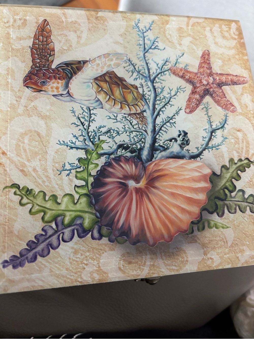Coastal Turtle & Shell Art Print in Coral, Seafoam, and Sand by